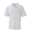 Calvin Klein Pima Cotton Slim Fit Polo 2011